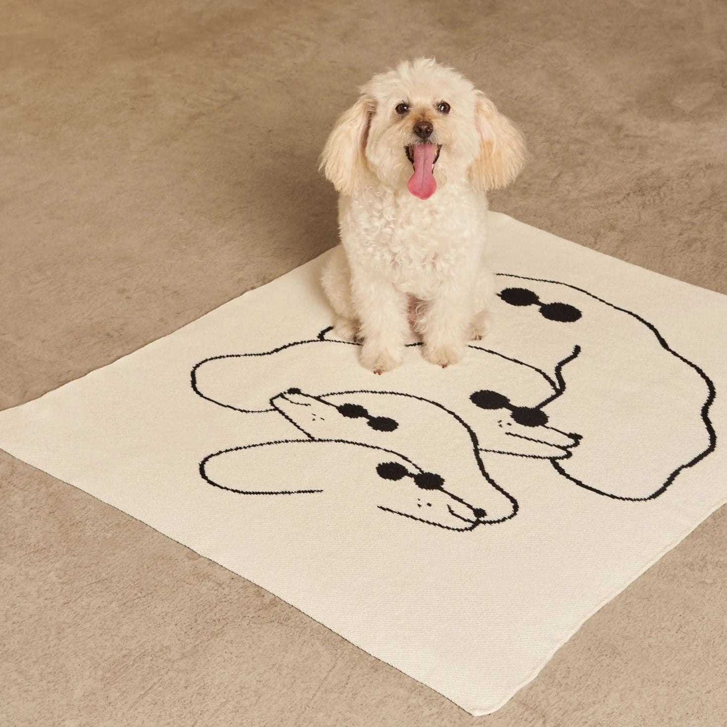 SLOW DOWN STUDIO - Dawgs Mini Blanket