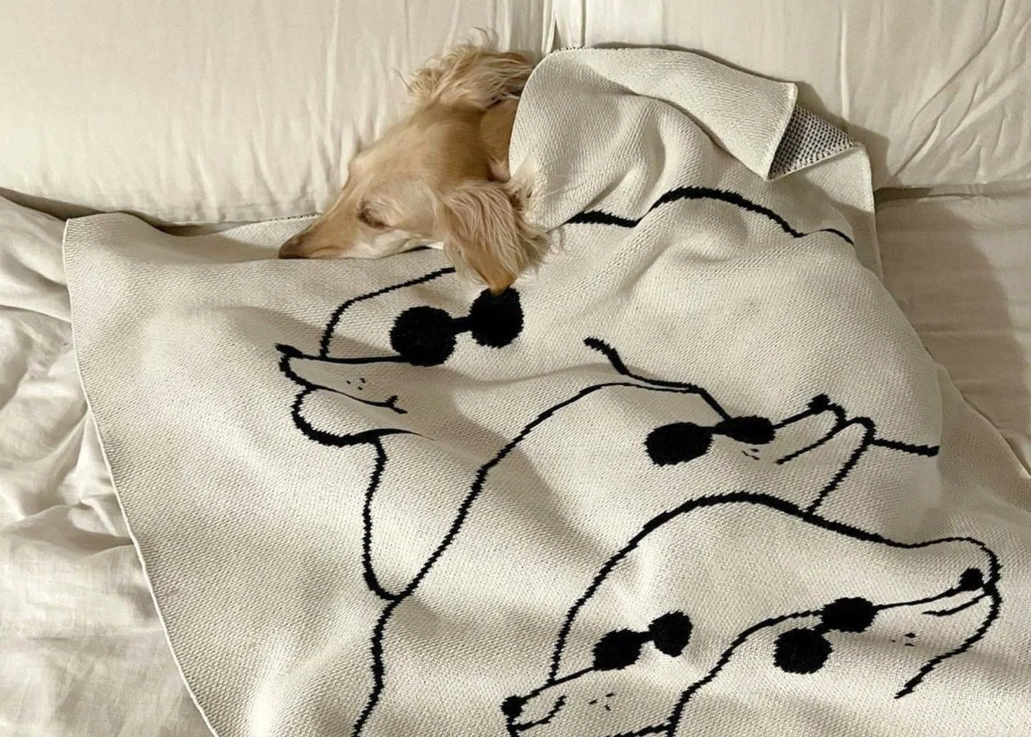 SLOW DOWN STUDIO - Dawgs Mini Blanket