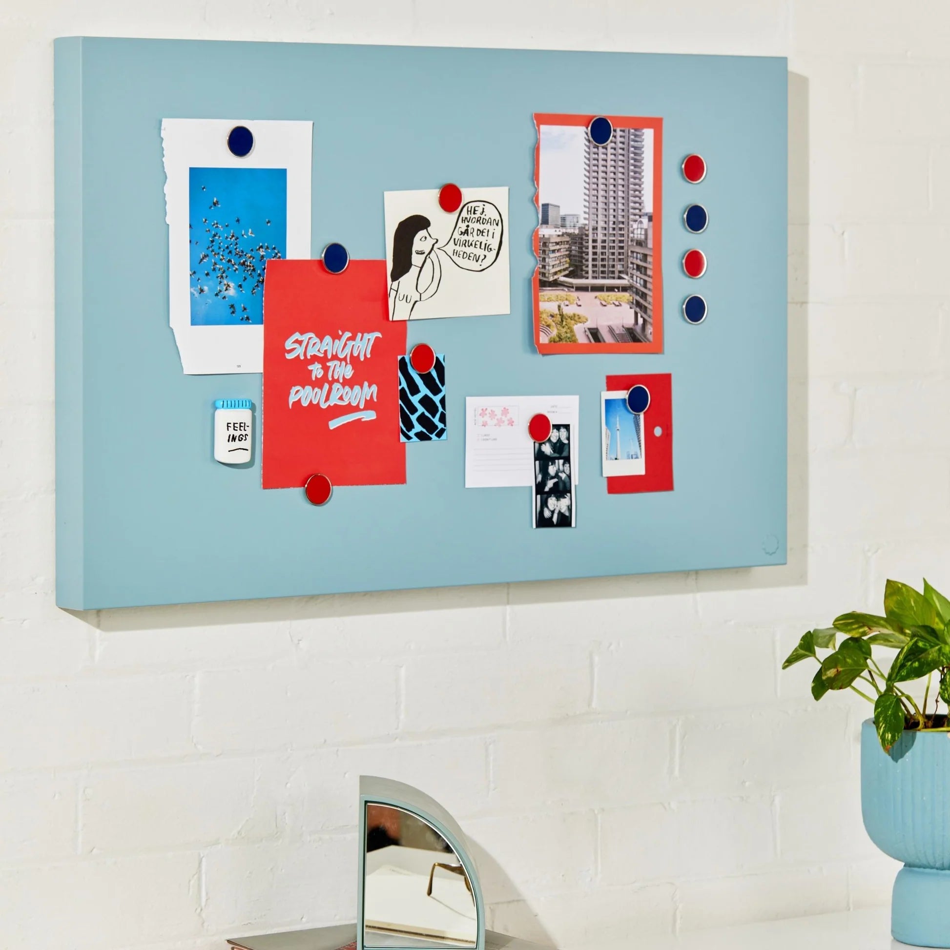 MUSTARD MADE - The Story board - Preston Apothecary