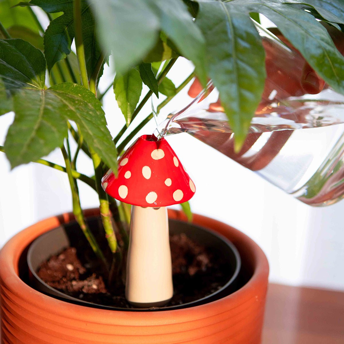 DOIY - Amanita Watering System